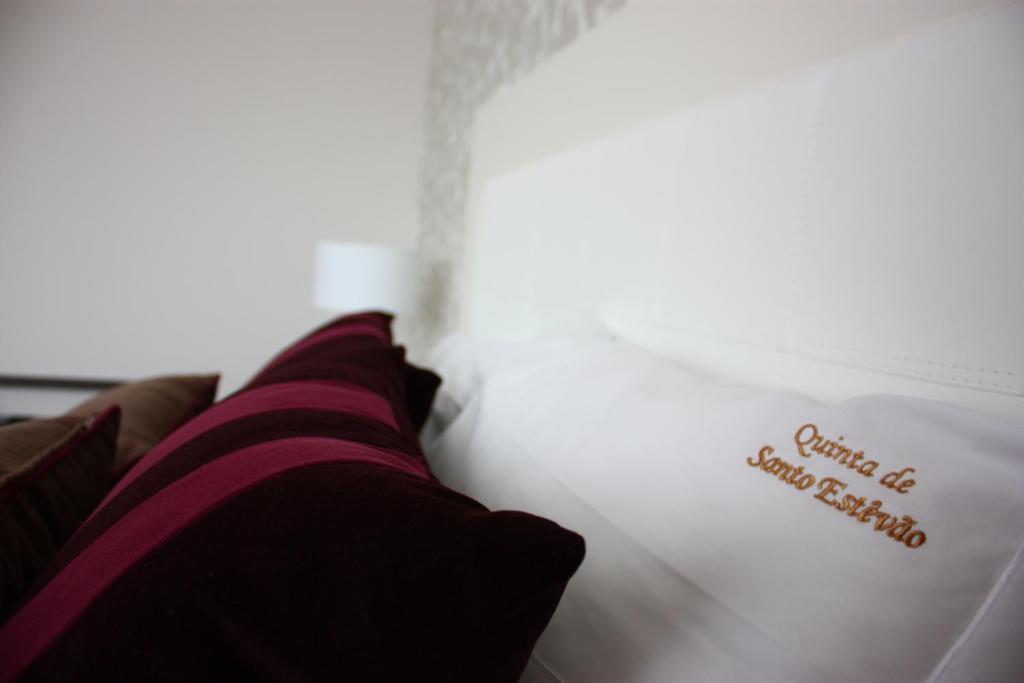 Quinta De Santo Estevao Hotel Rural Aguiar da Beira Εξωτερικό φωτογραφία